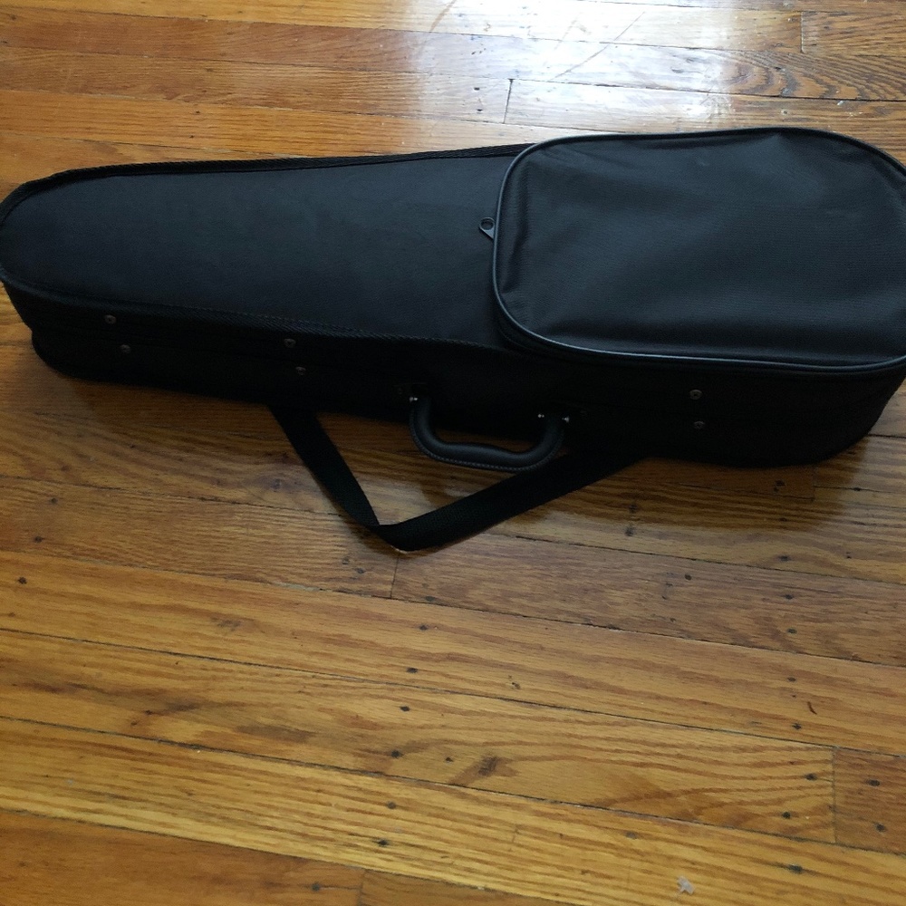 Violin brown with black case